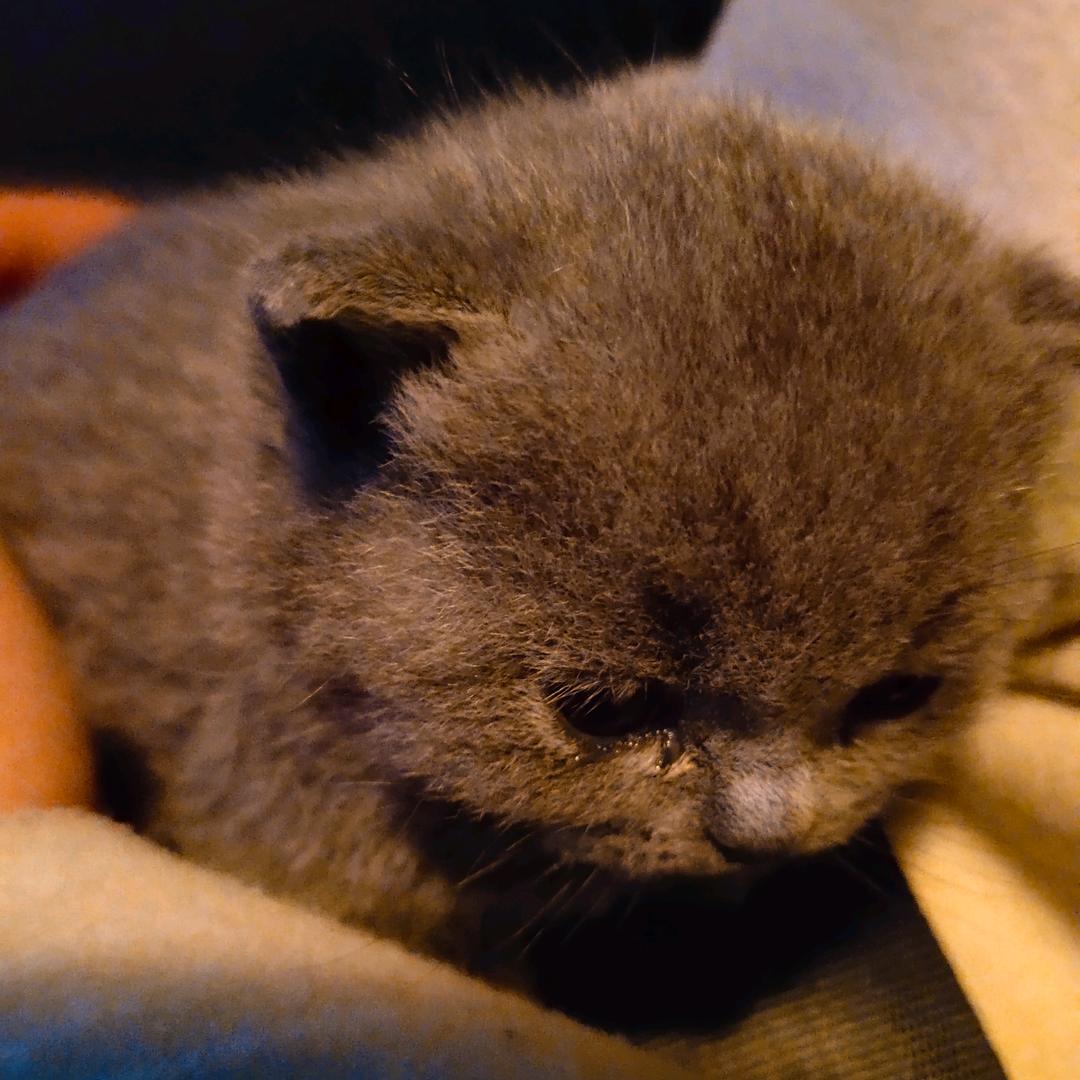 音达电子设备精品小铺