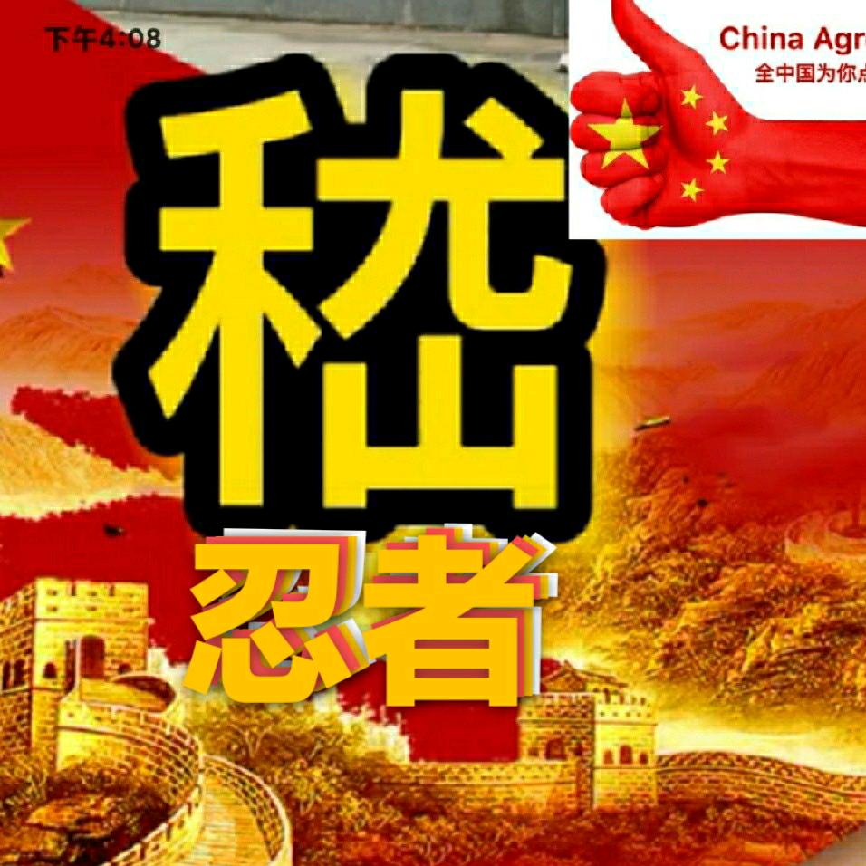 忍者(嵇)