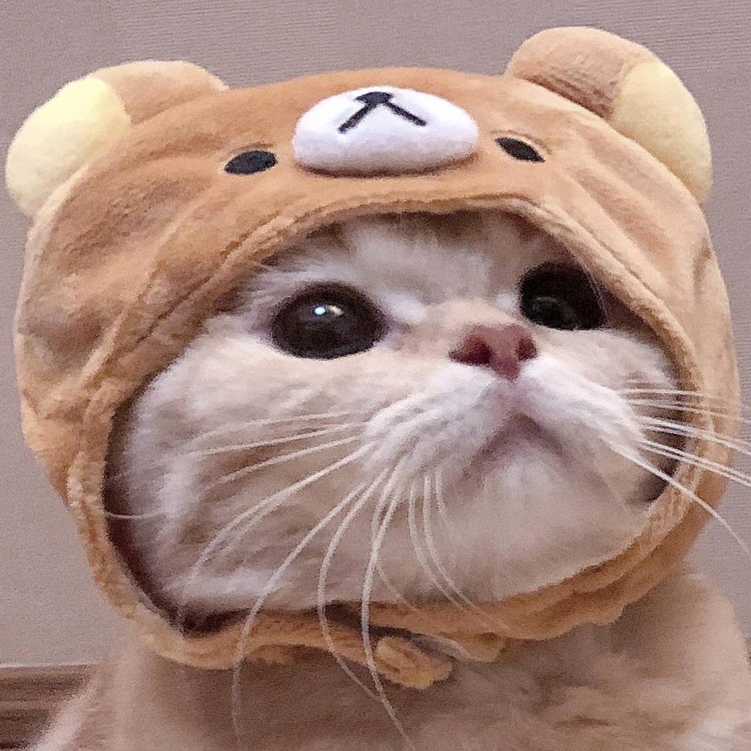 光头