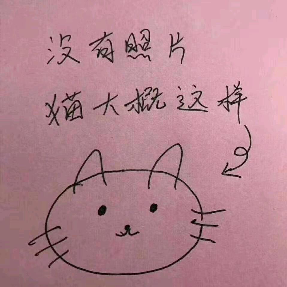 荣成市人和糖糖宠物店