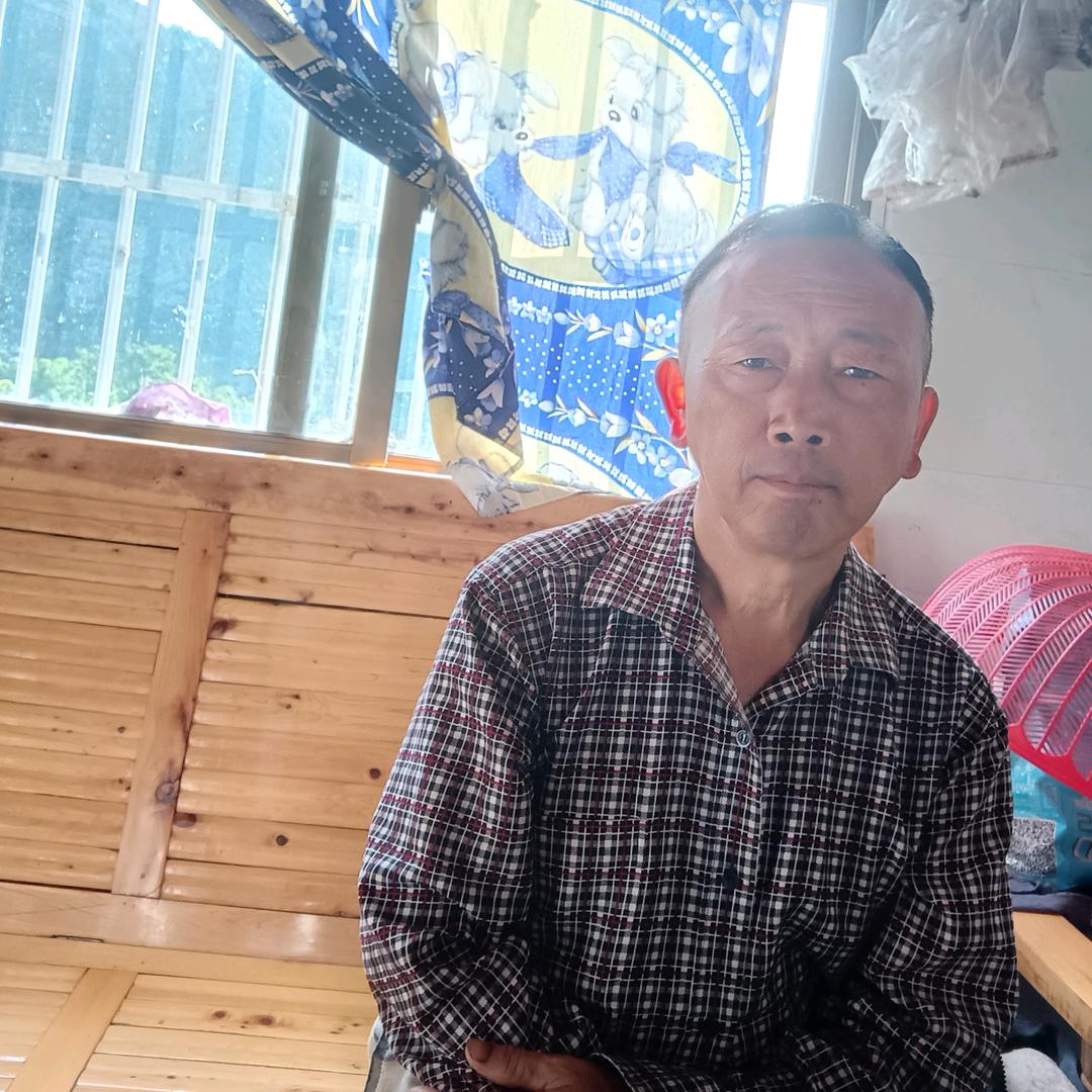 陶四哥.