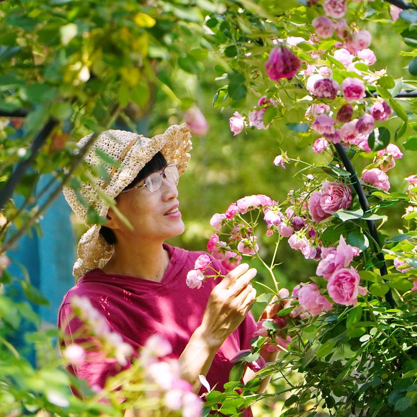 陈姐的菜园