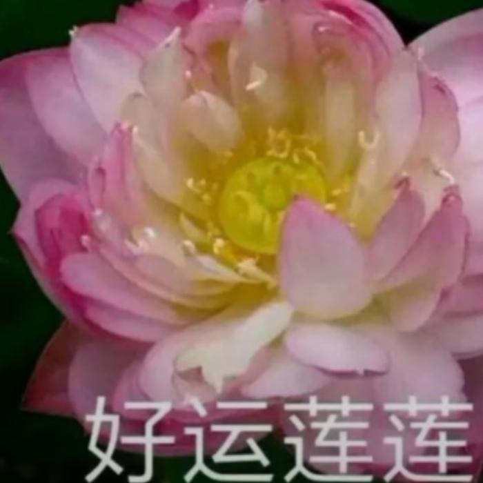 渡口王子
