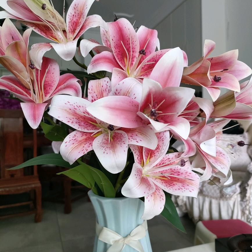 🌺花开花落🌺