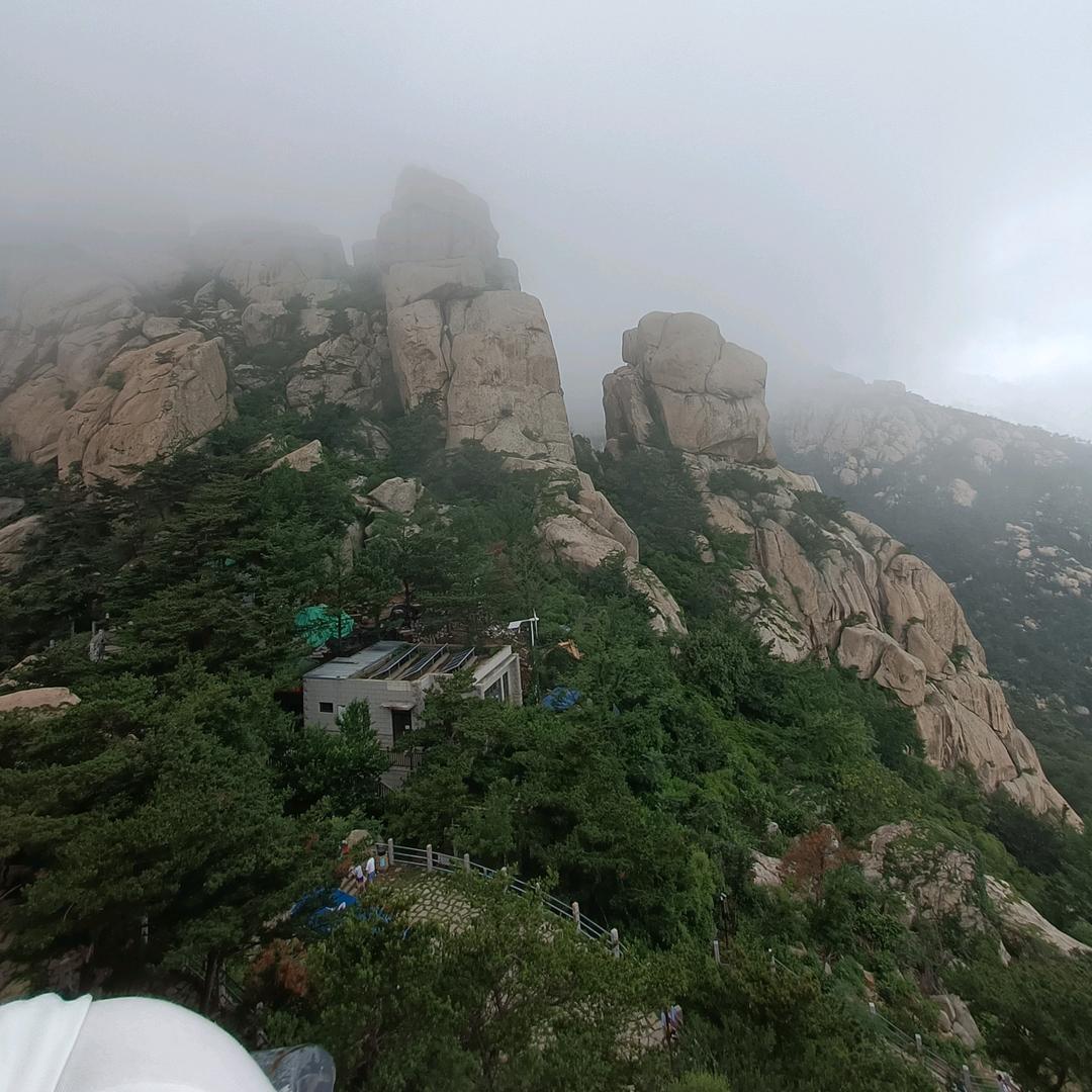 顺其自然 努力赚钱