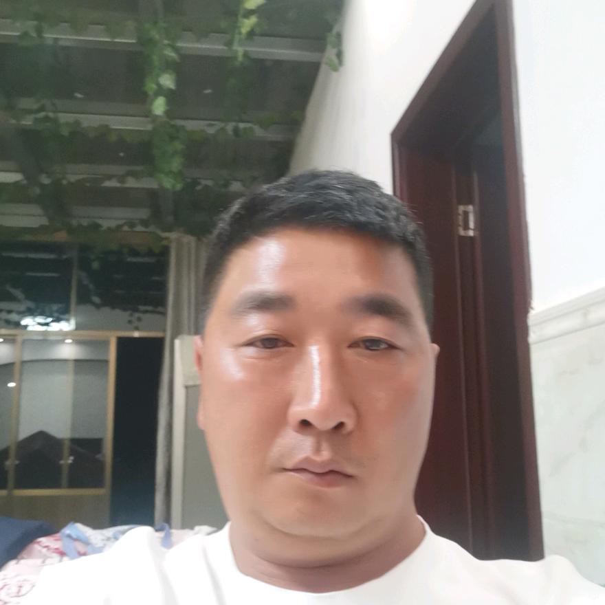 森林杀手