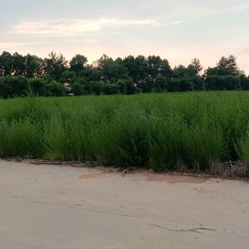 用户峰