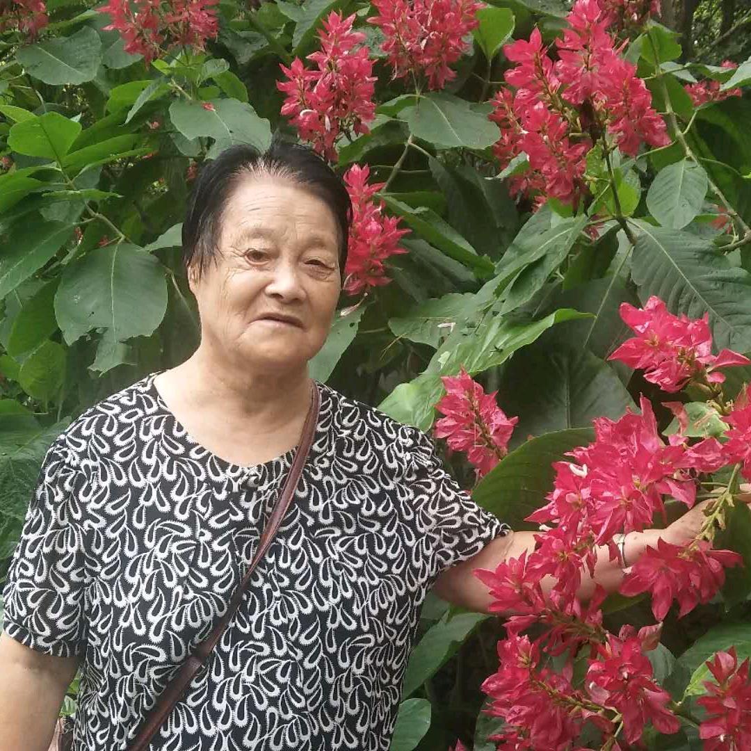 甜甜奶奶👵