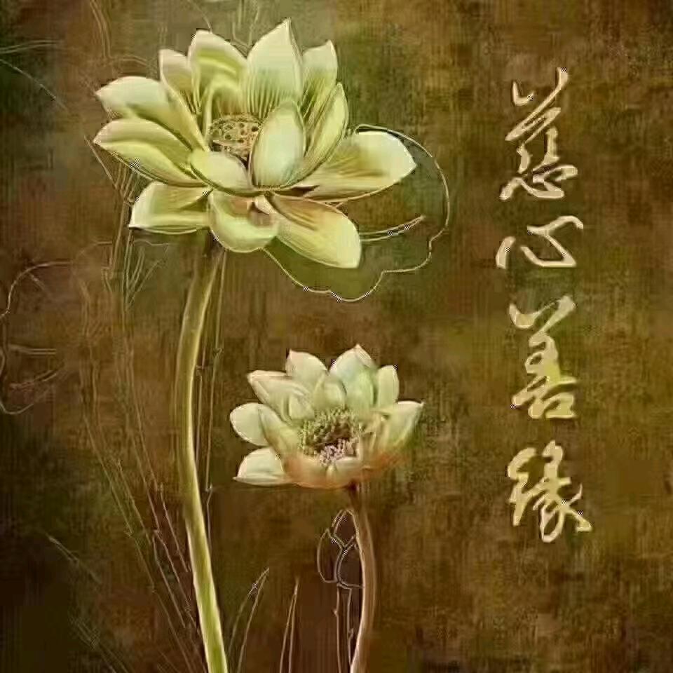 ღ时❤光ོএ