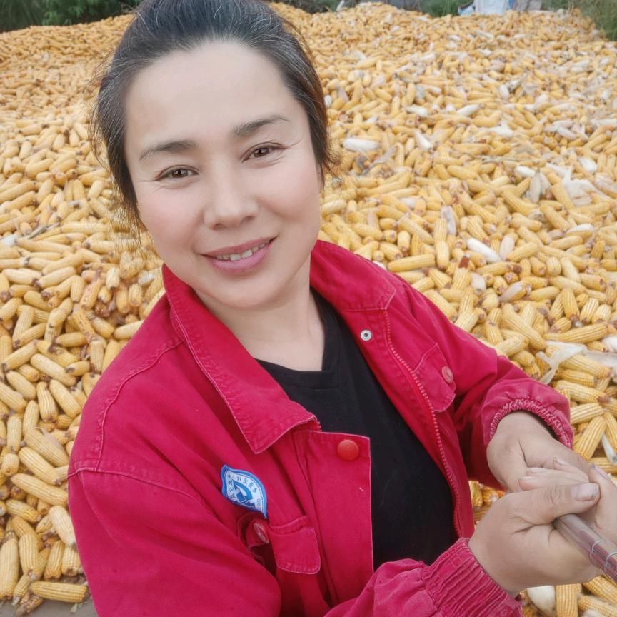 农村喜梅（承蒙厚爱）