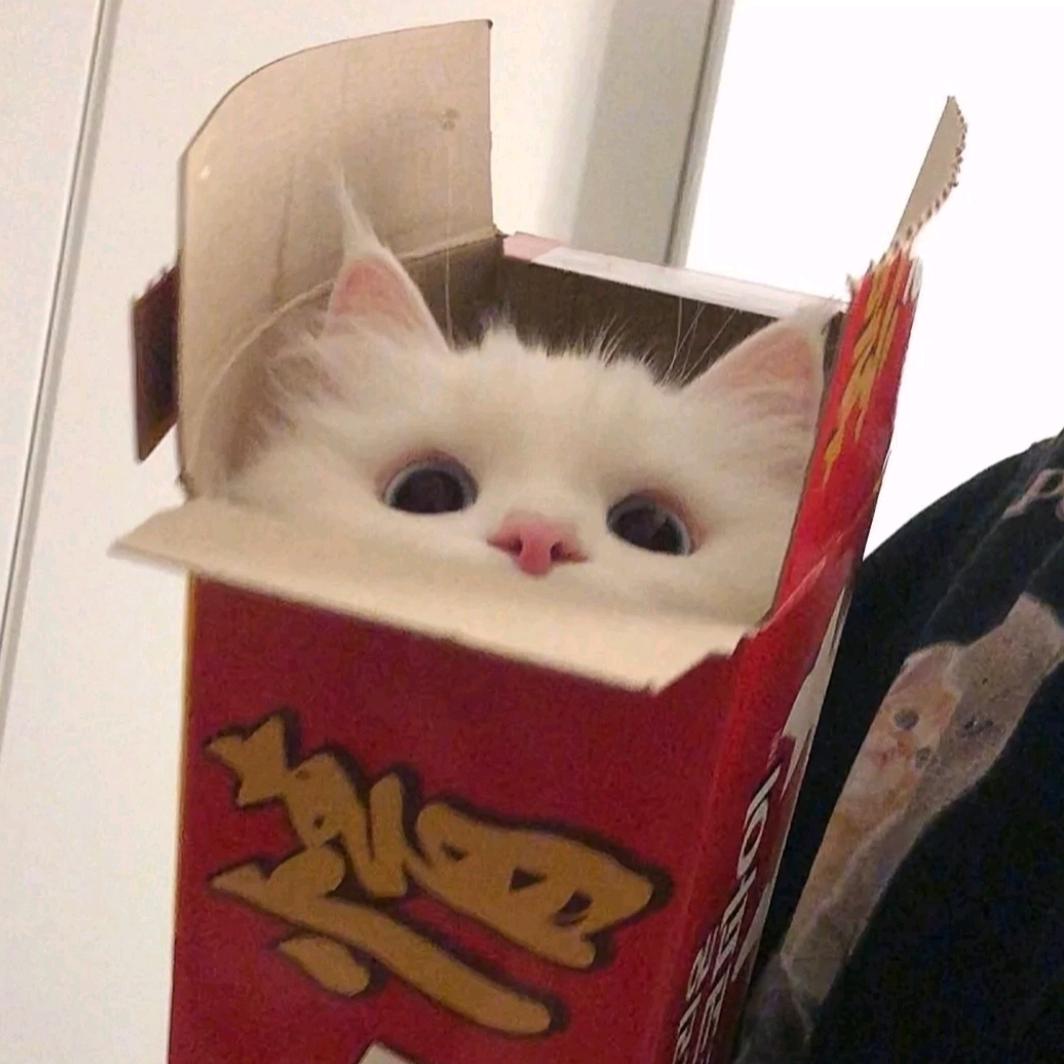 请叫我老板谢谢