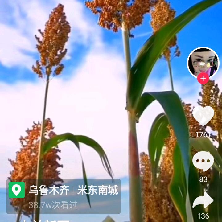 逸云行者