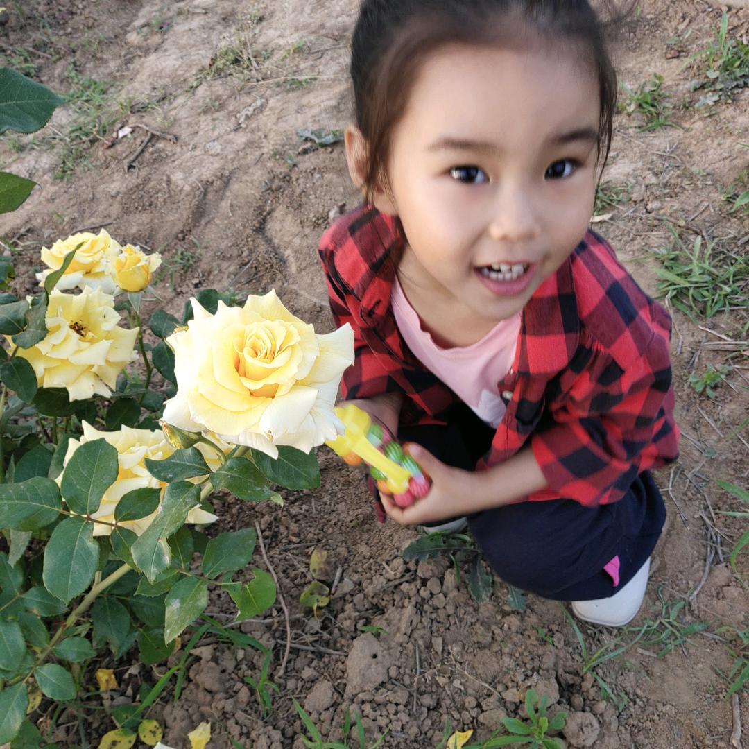 李家九妹
