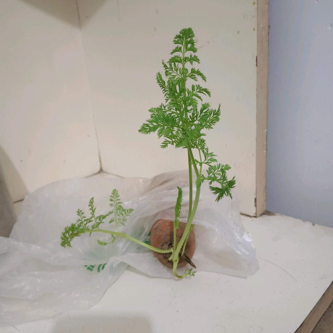 《華兴》专业地坪施工