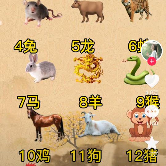 枫叶无情人有情