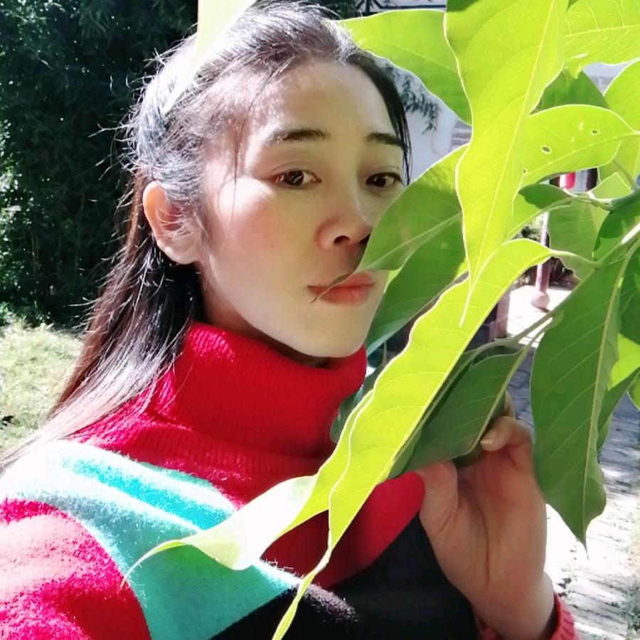 秋天的风