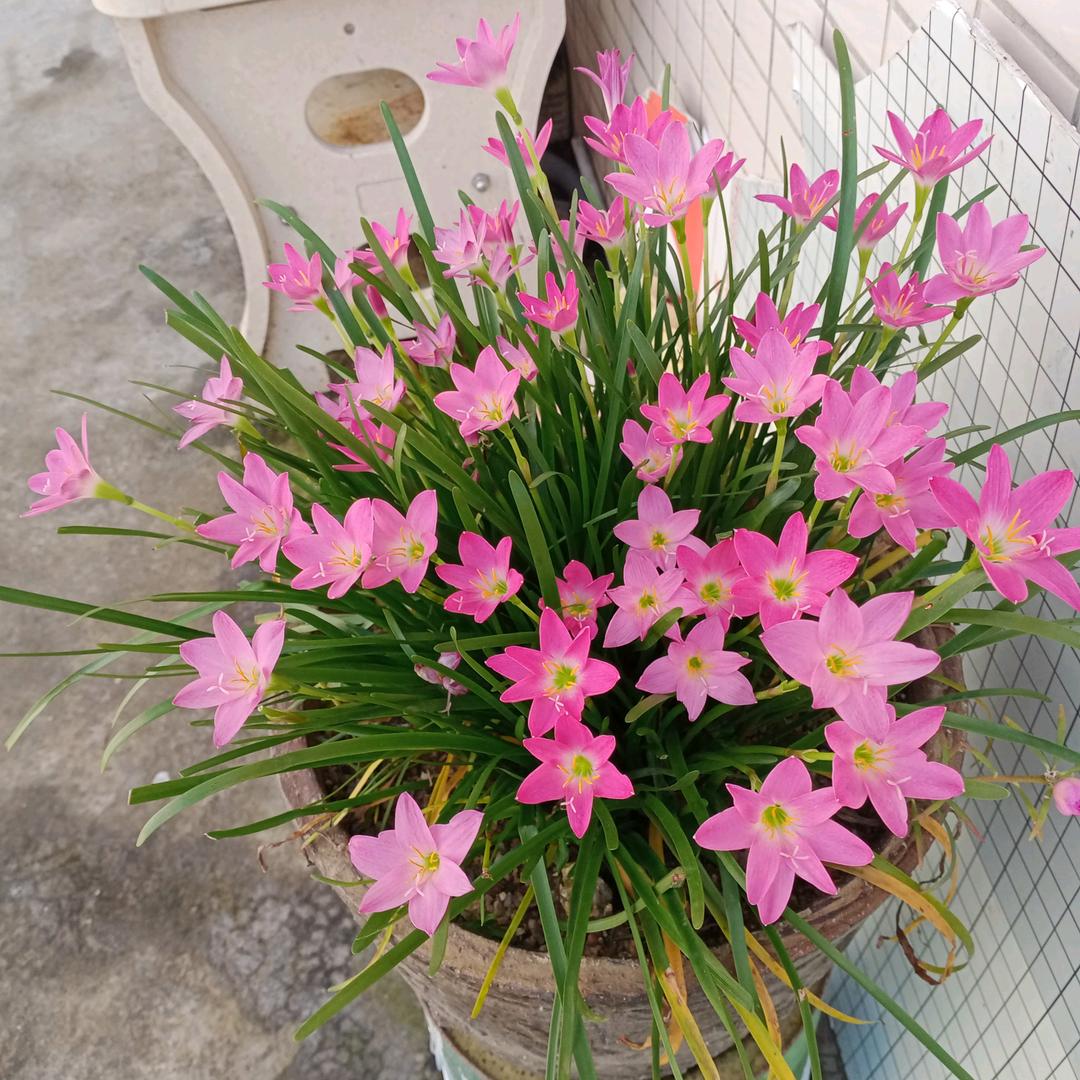 不不不