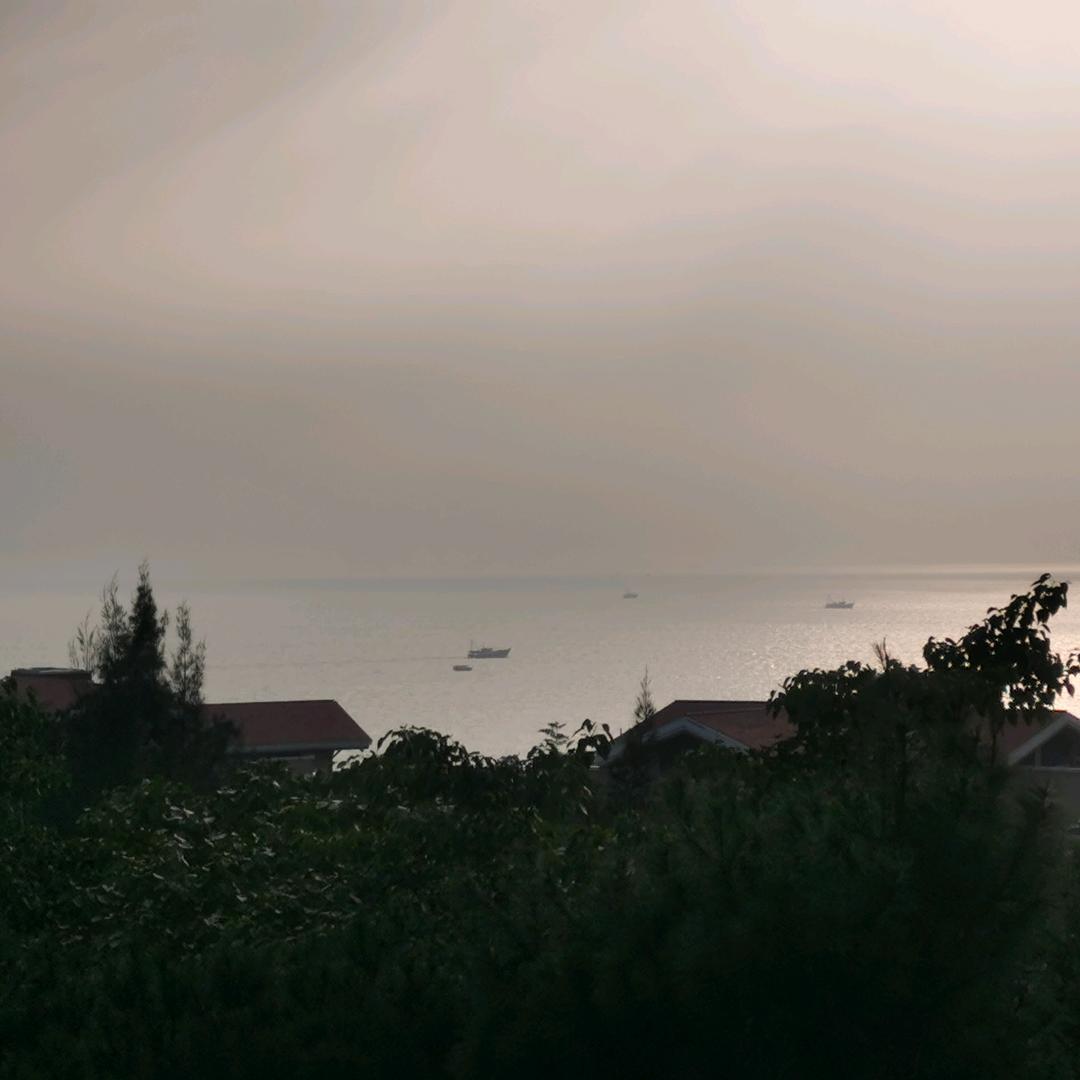 文.武.不.全