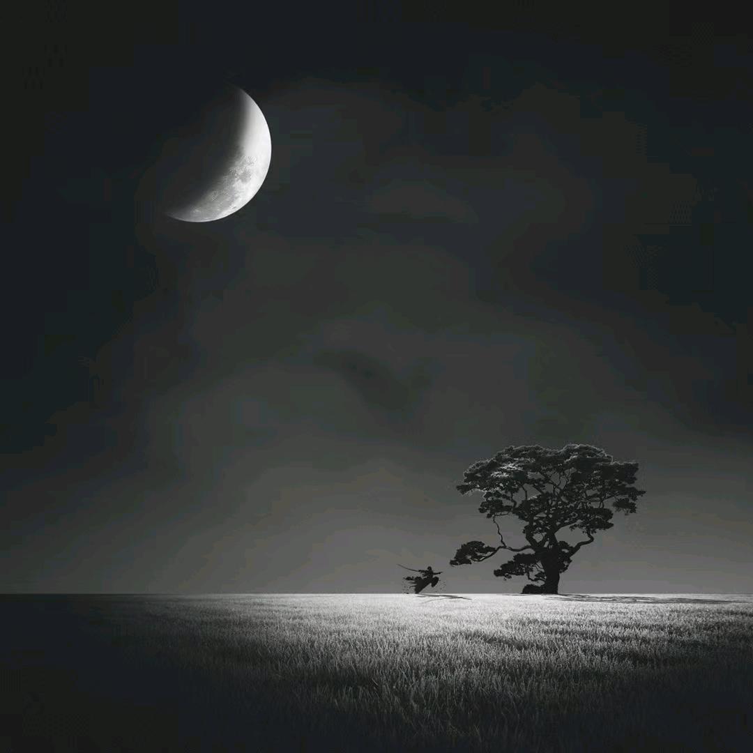 陈坤