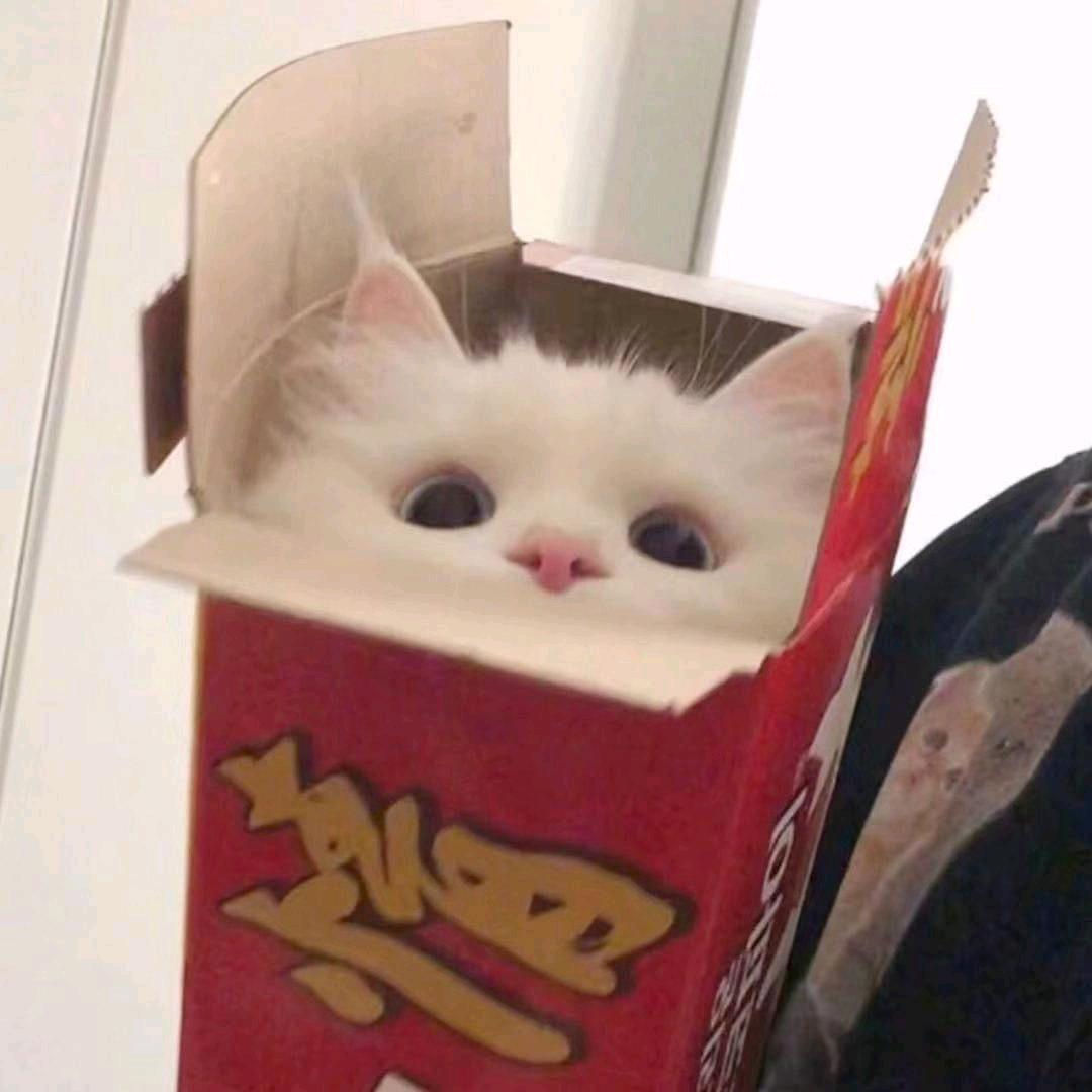 怡