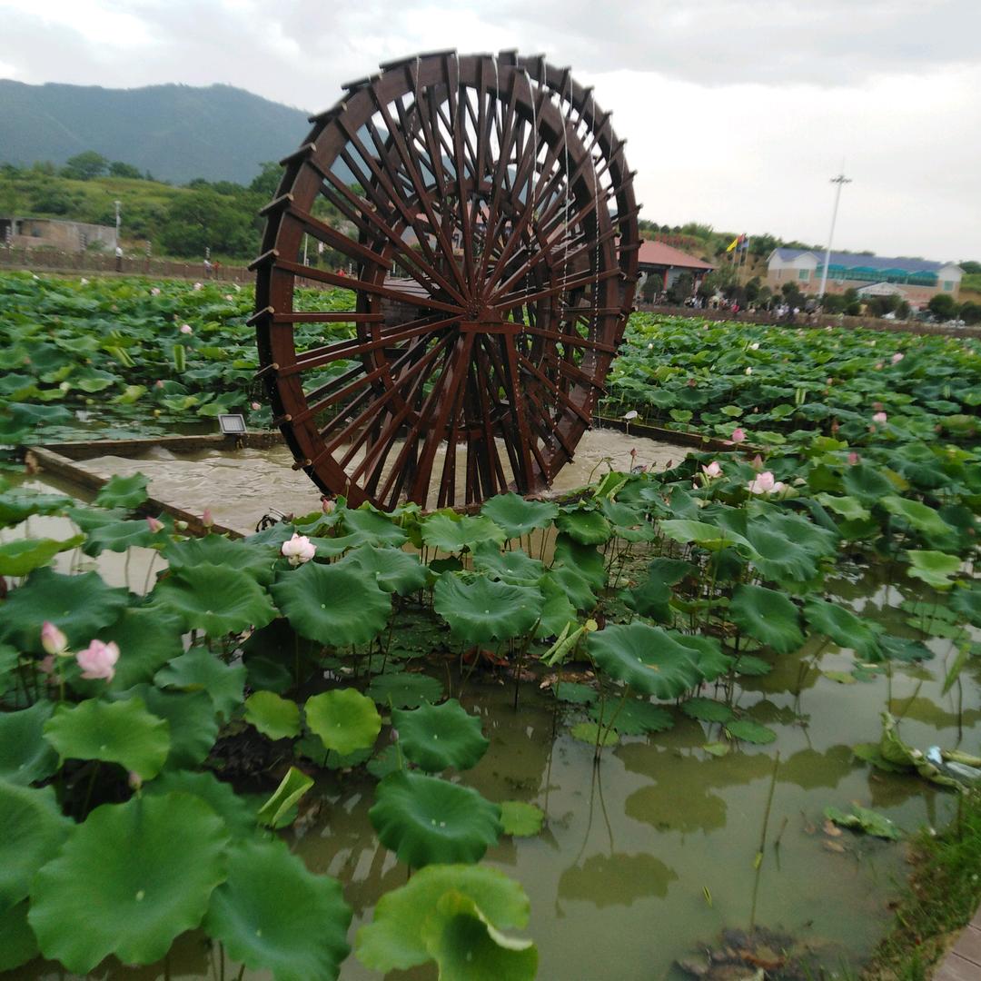 用户似水流年
