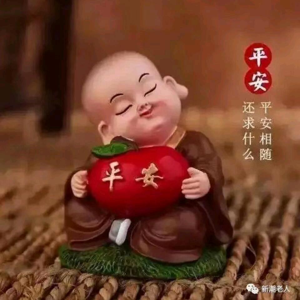 举头望月