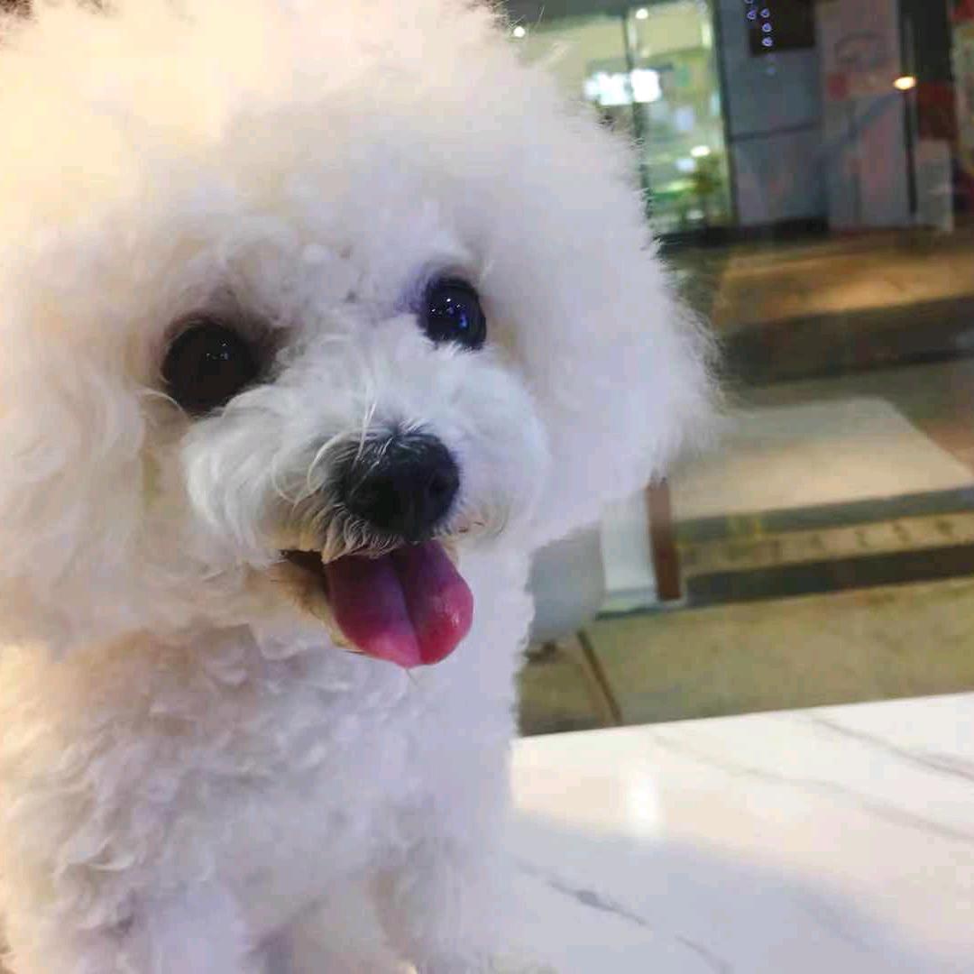 蝴蝶儿