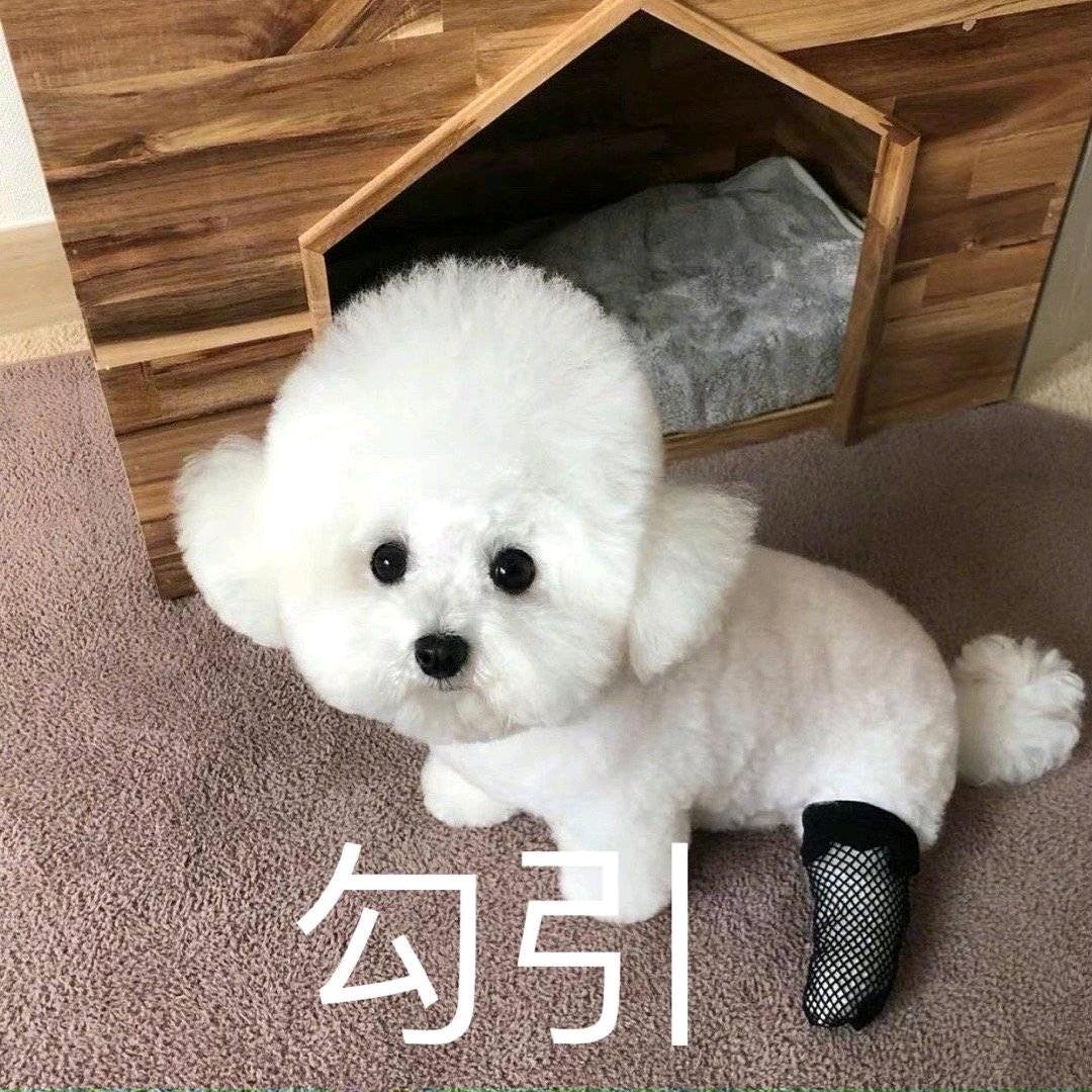 探店成都