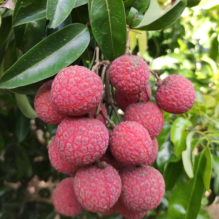 一袋米要扛几楼