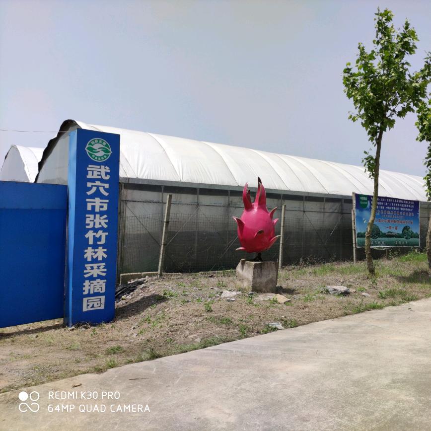武穴市张竹林采摘园