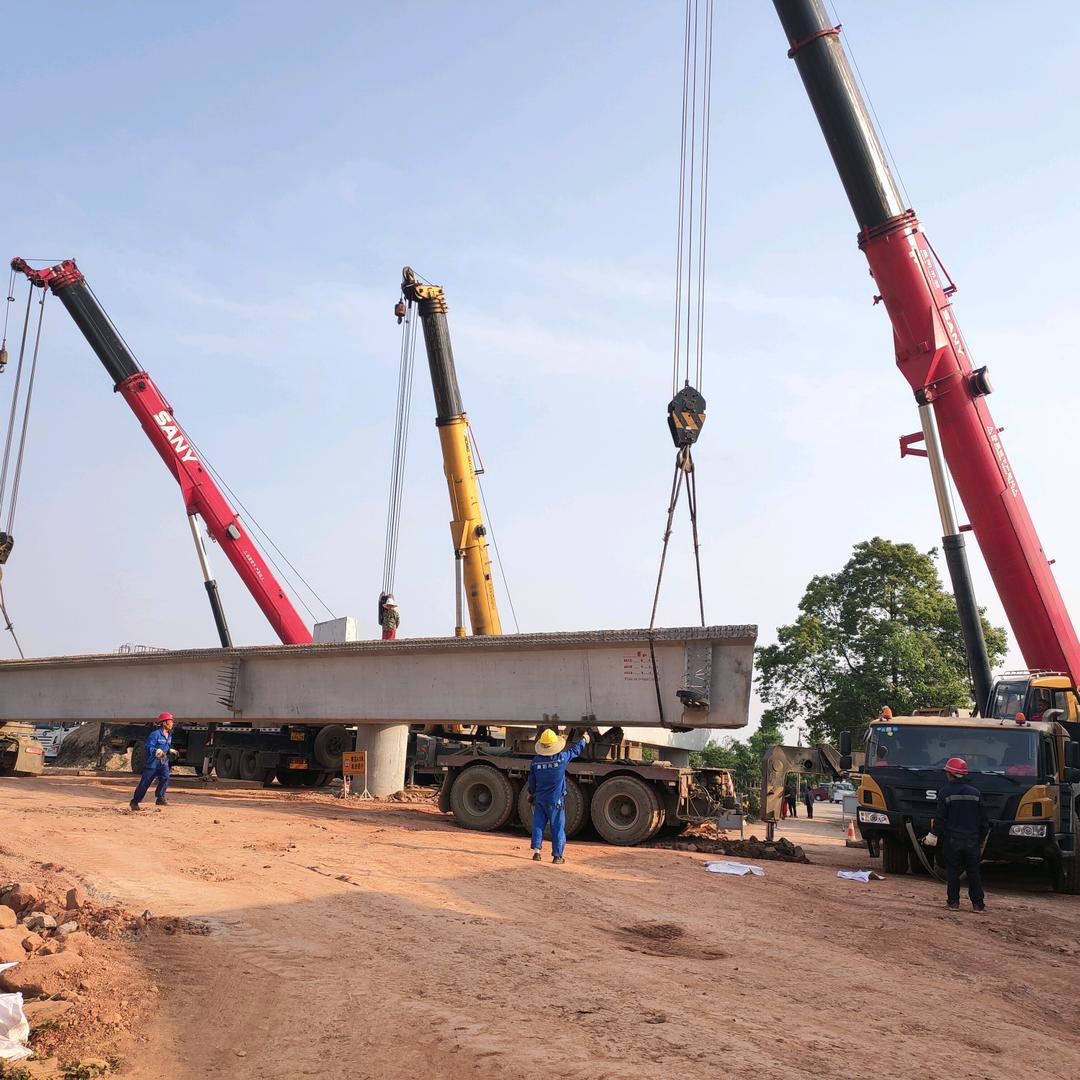 肖勇（小羊食用菌）