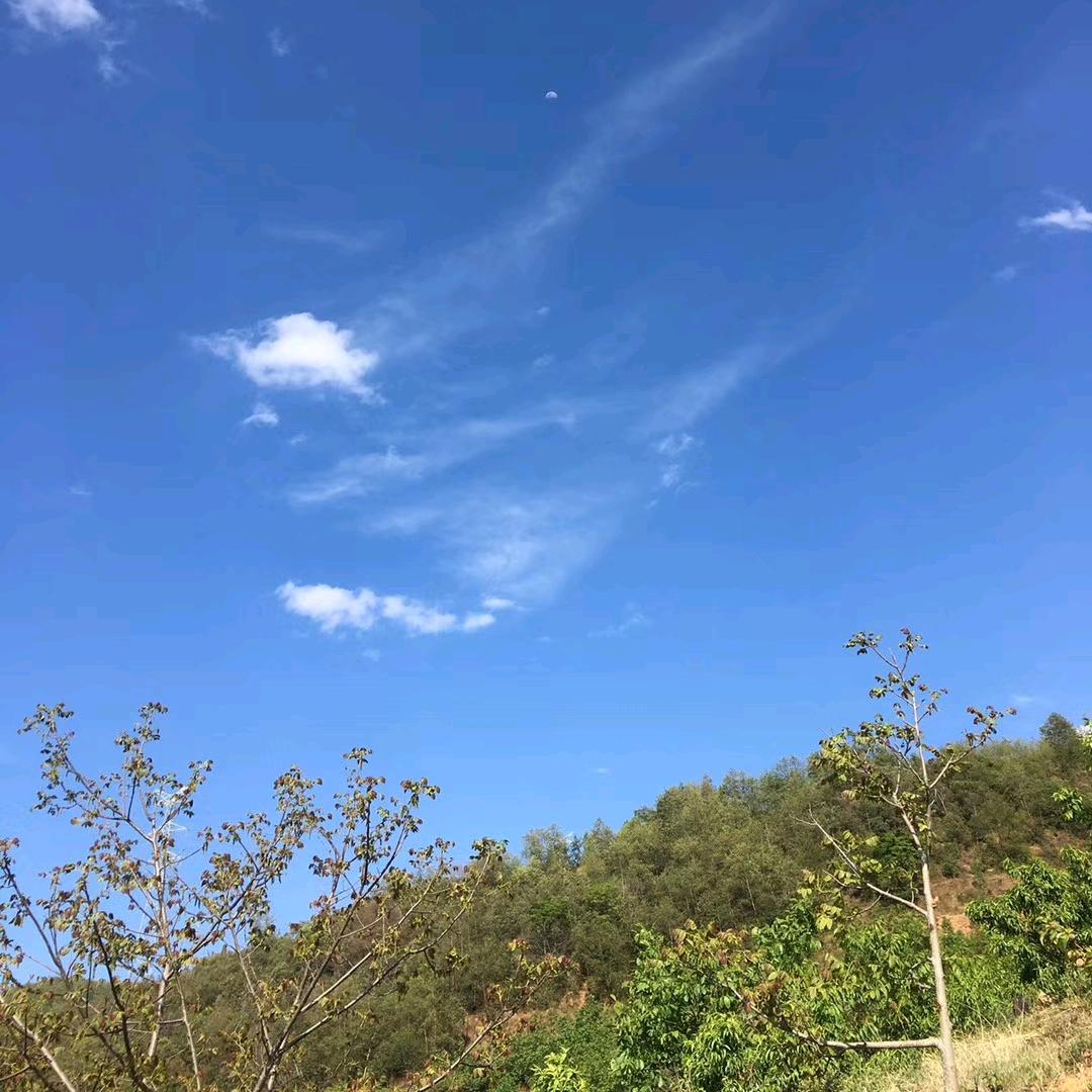 小可爱ớ ₃ờ
