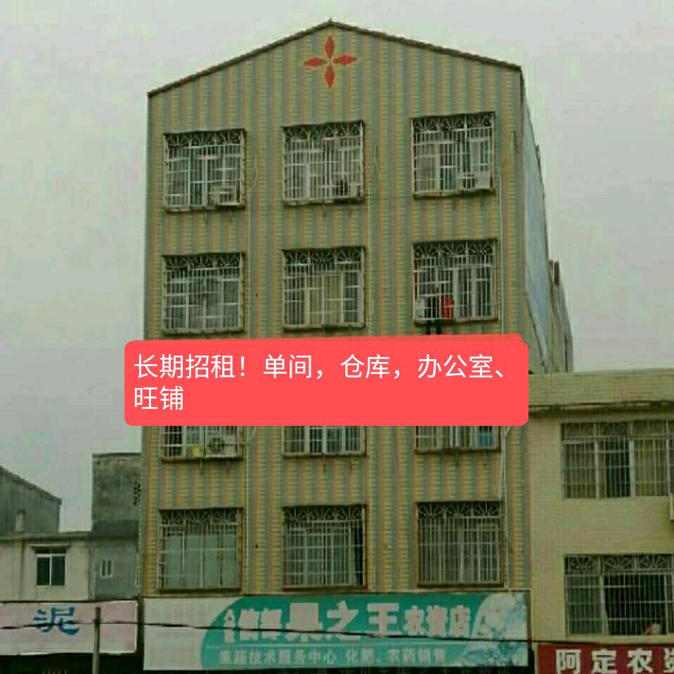 房东撸车