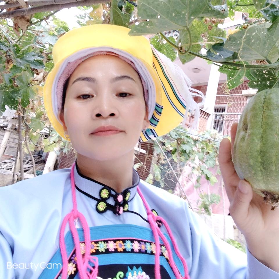 你的月亮我的心