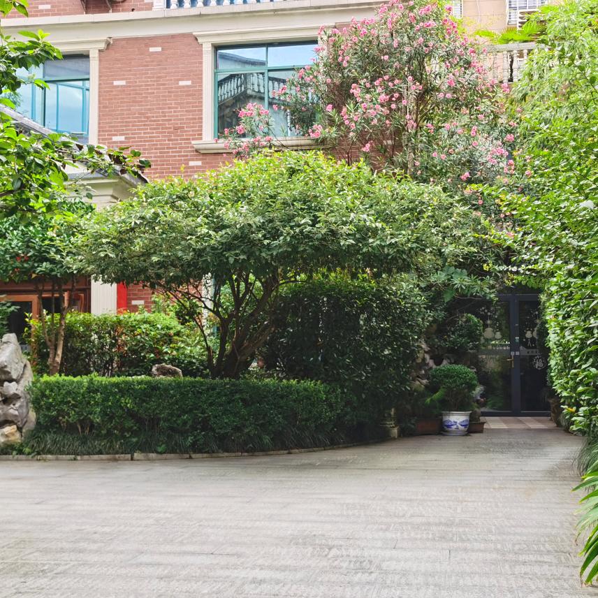 枫林半闲居会所官方号