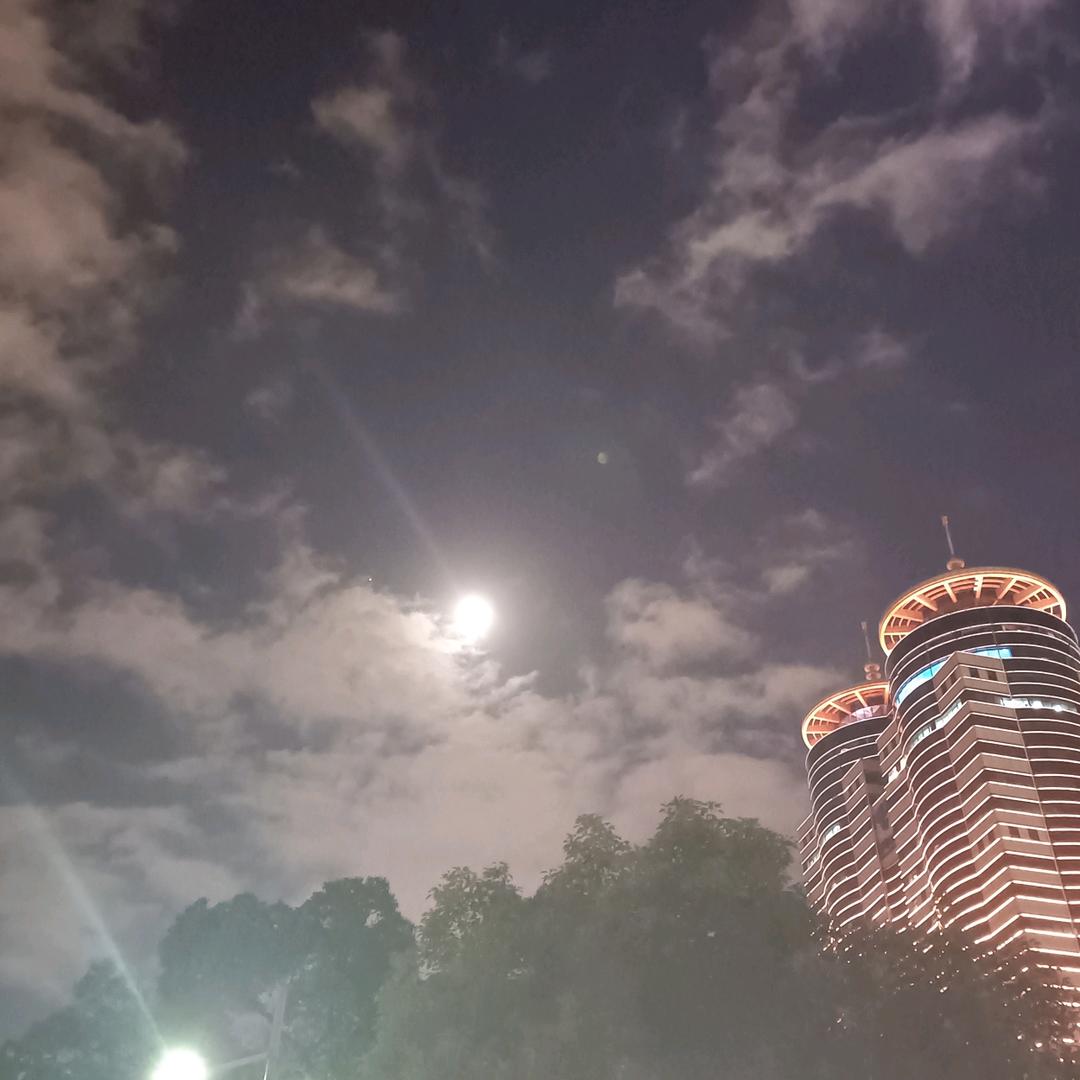 @阿拉宁波英子