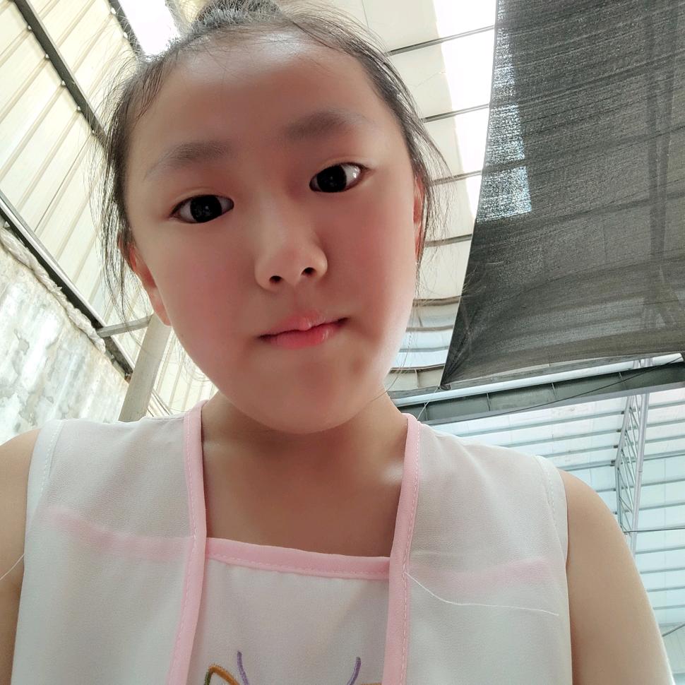 稳稳的幸福12458