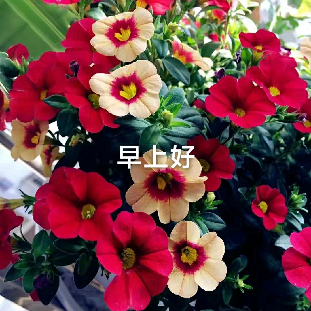 用户6915061477683一哥