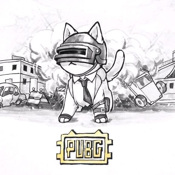 PUBG阿木木