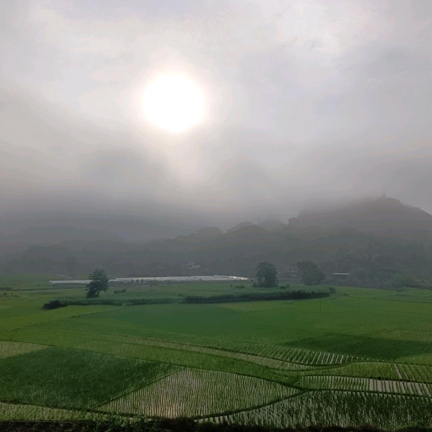 南三古 （番茄作家）