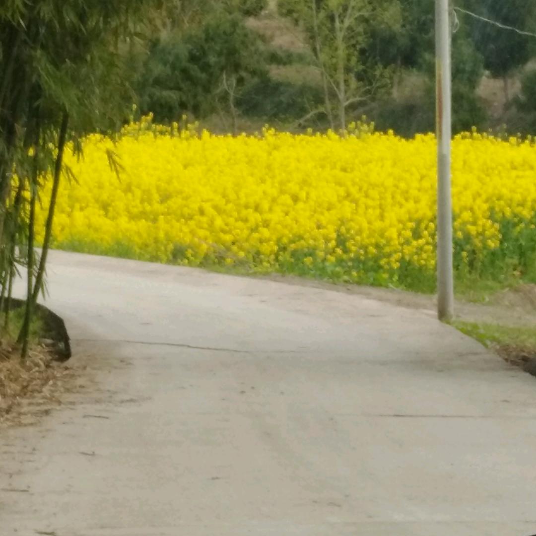 z此生有你