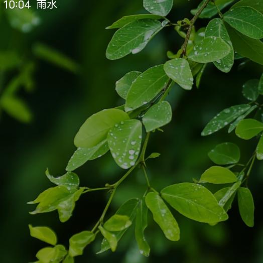 光