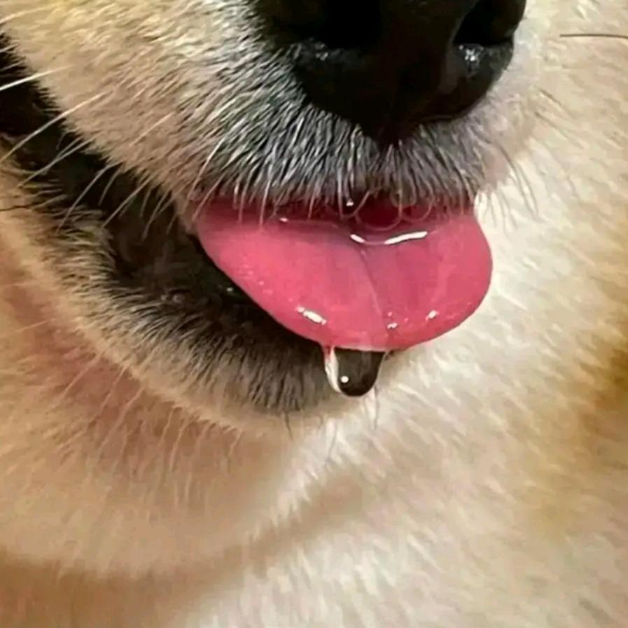 大铁