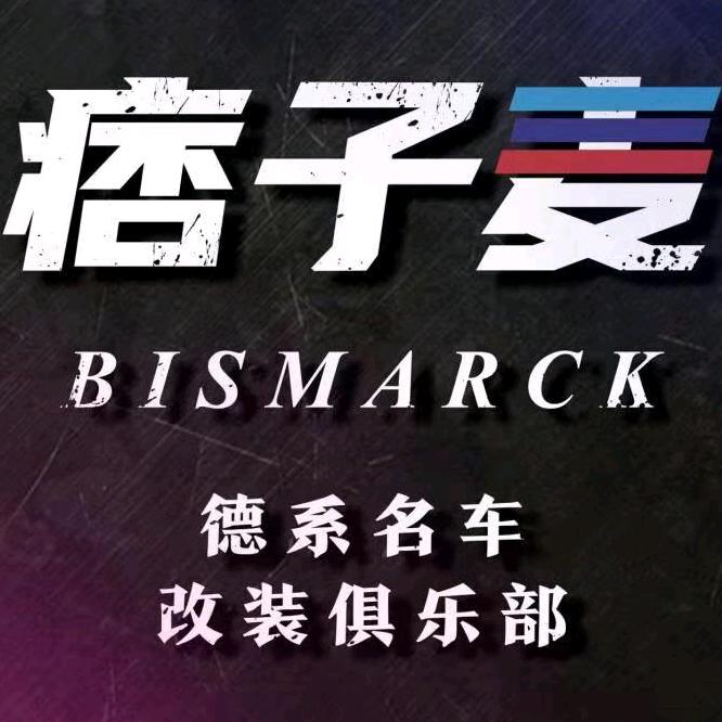 玩宝马的痞子麦