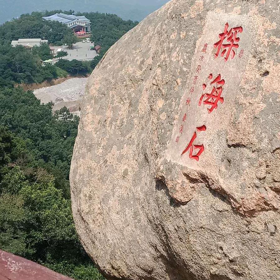 一生青