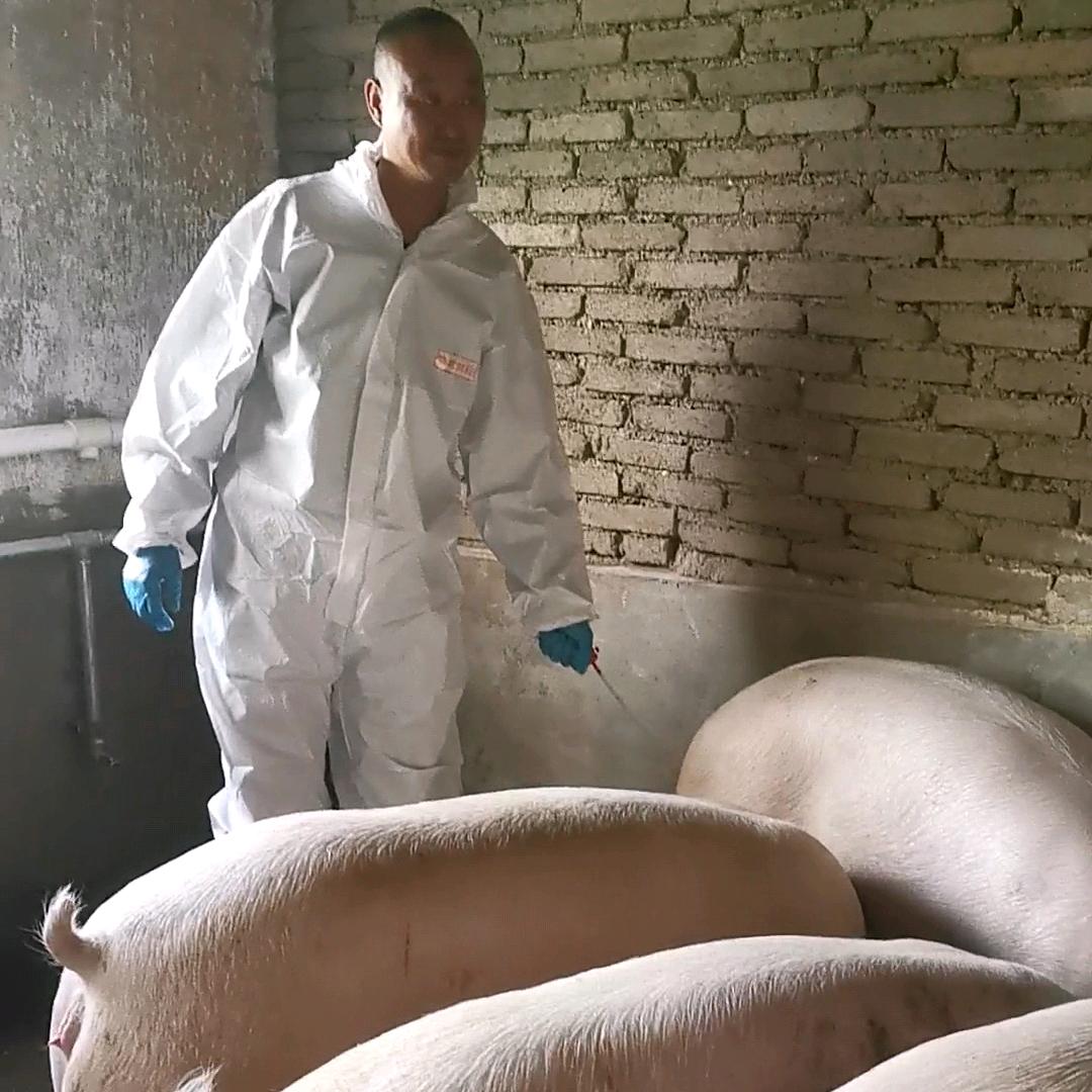 承俊养殖，诚信交友，