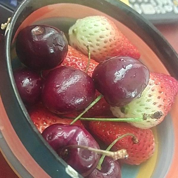 冷暖自知