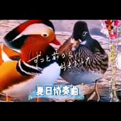 秋天1792