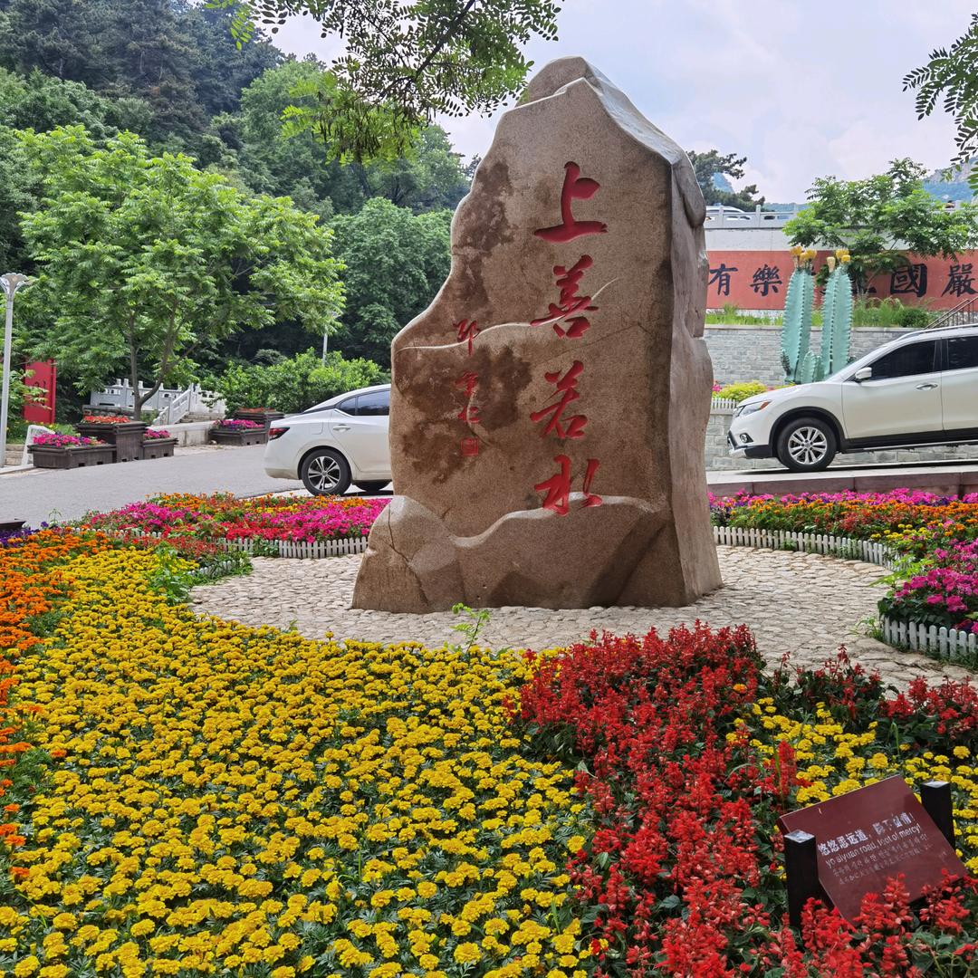 豪哥