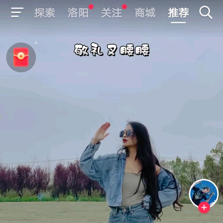 鸽子